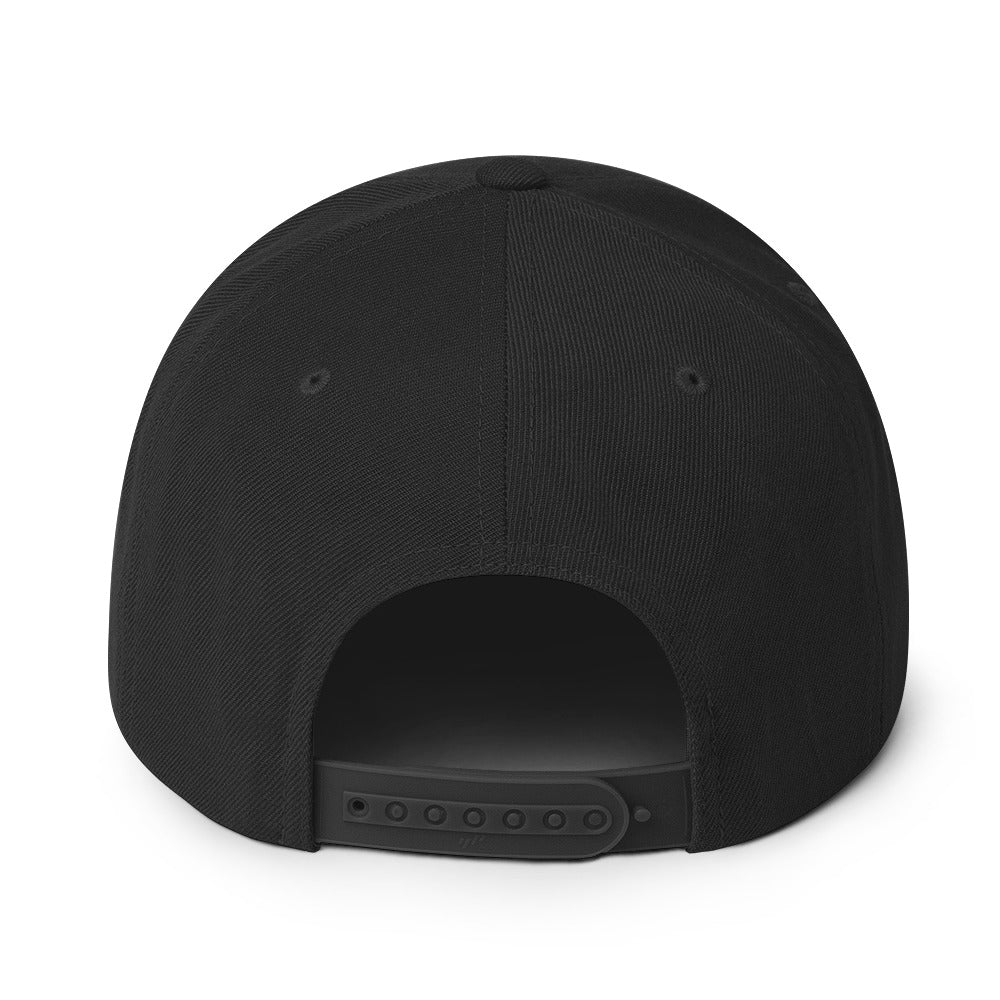 Salaam! | Snapback Hat with Embroidered Emblem Teal