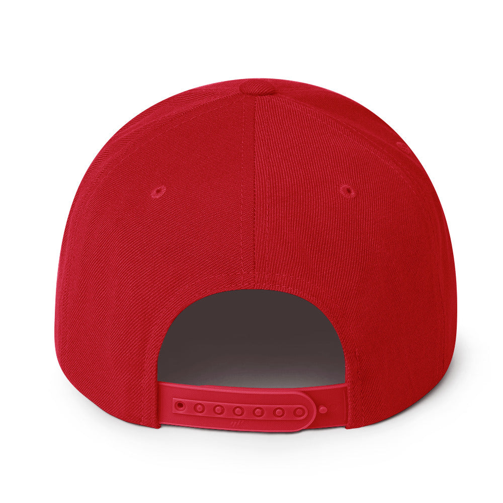 Salaam! | Snapback Hat with Embroidered Emblem Teal