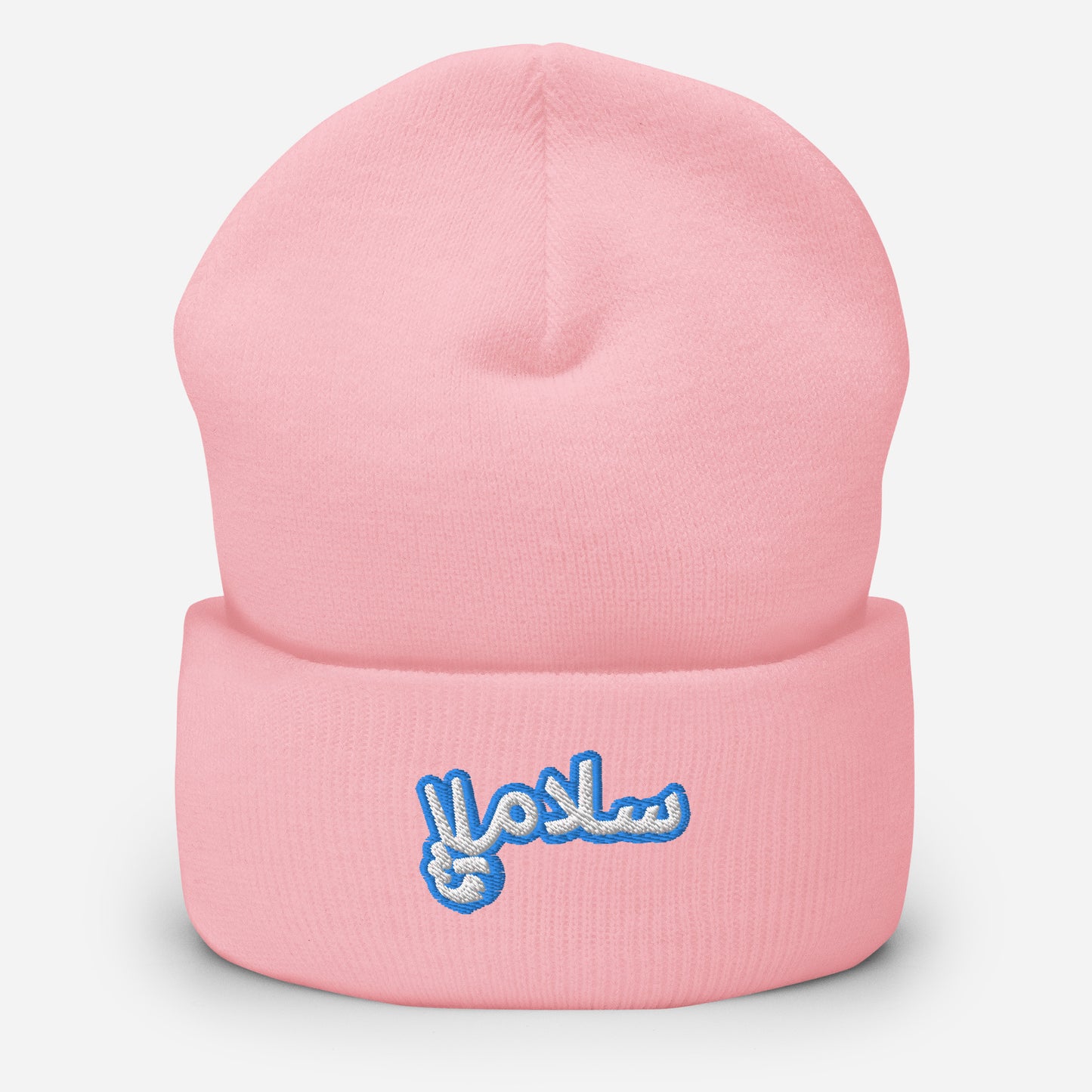Salaam! | Cuffed Beanie with Embroidered Emblem Teal