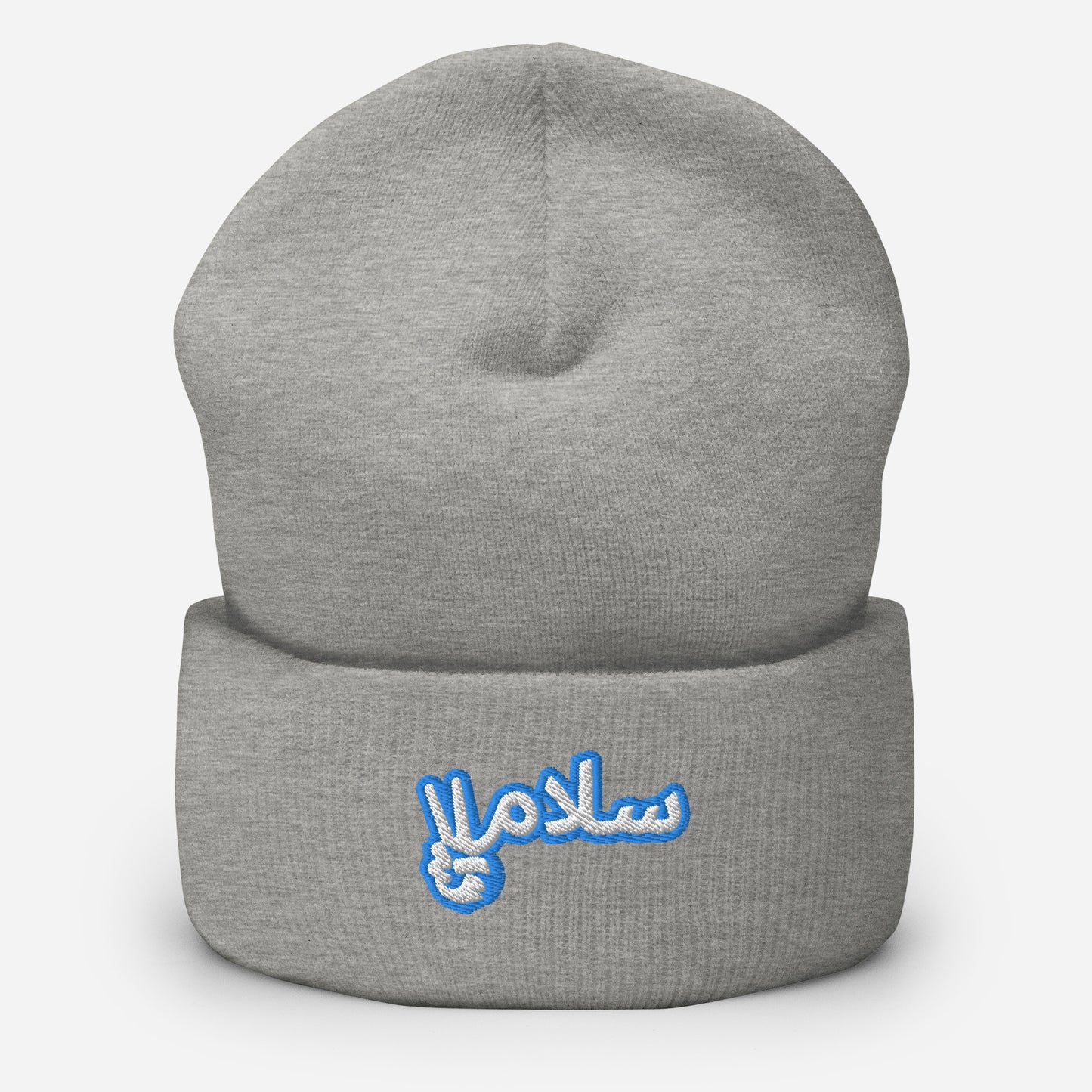 Salaam! | Cuffed Beanie with Embroidered Emblem Teal
