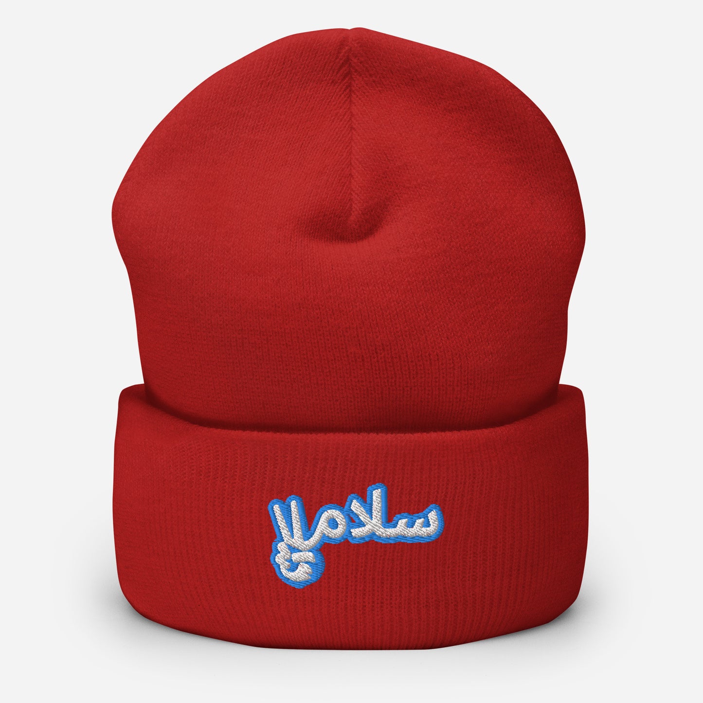 Salaam! | Cuffed Beanie with Embroidered Emblem Teal