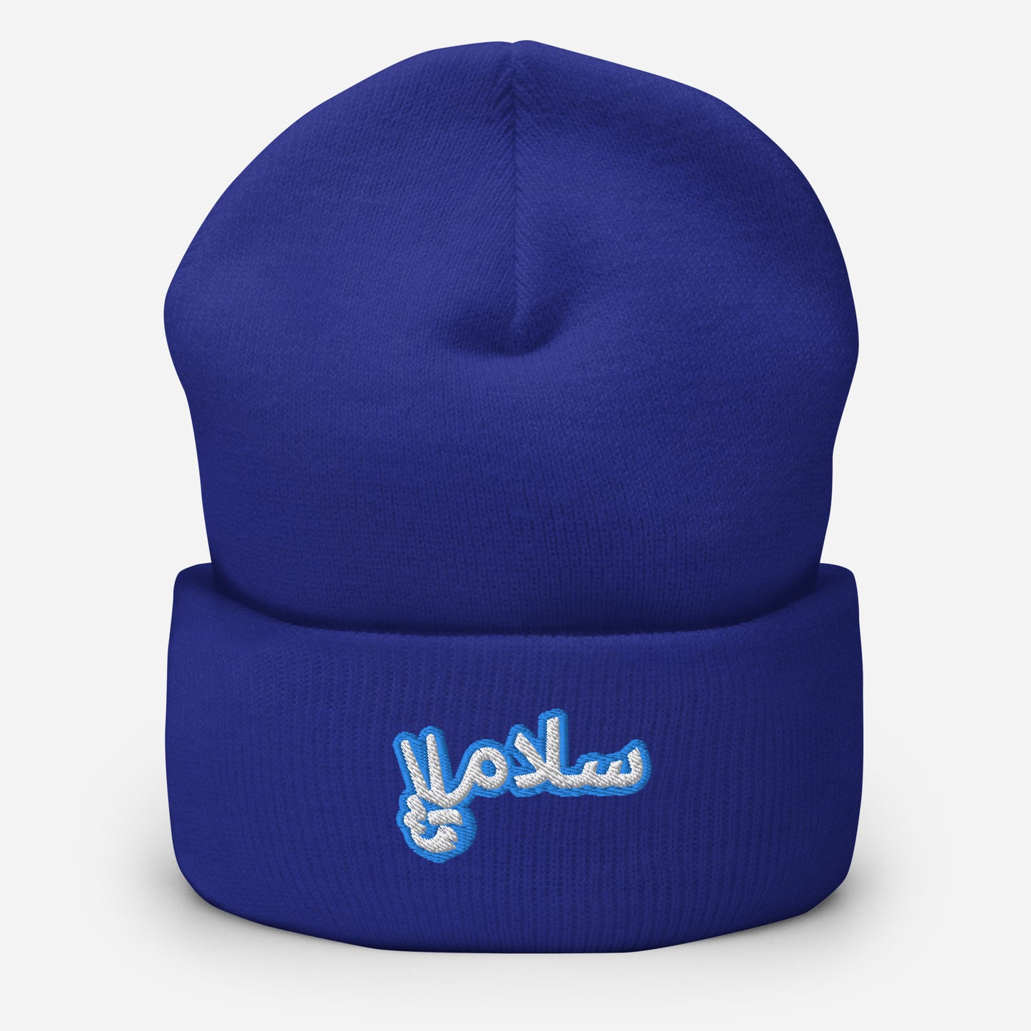 Salaam! | Cuffed Beanie with Embroidered Emblem Teal