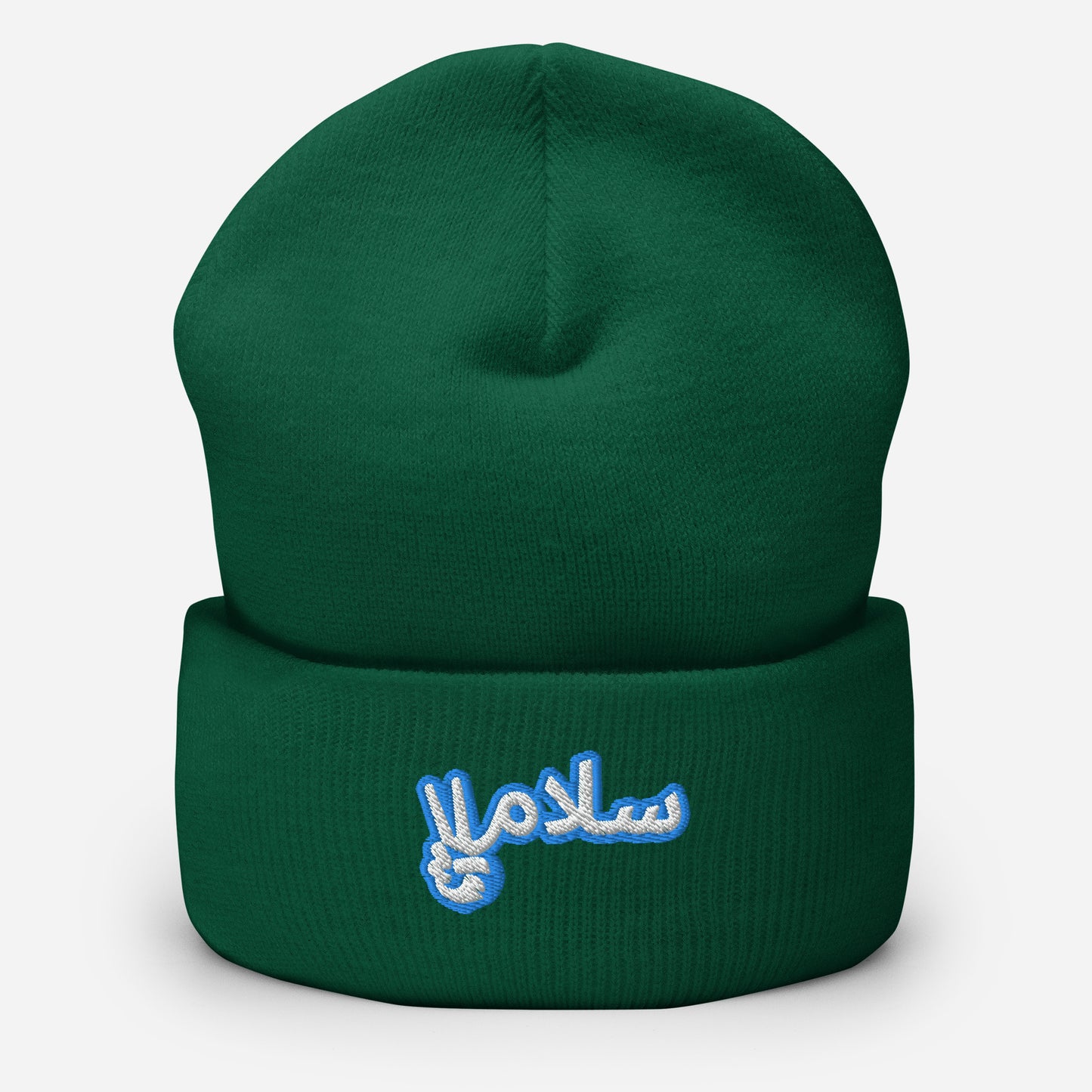 Salaam! | Cuffed Beanie with Embroidered Emblem Teal