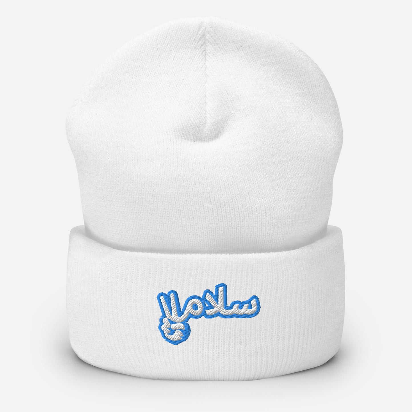 Salaam! | Cuffed Beanie with Embroidered Emblem Teal