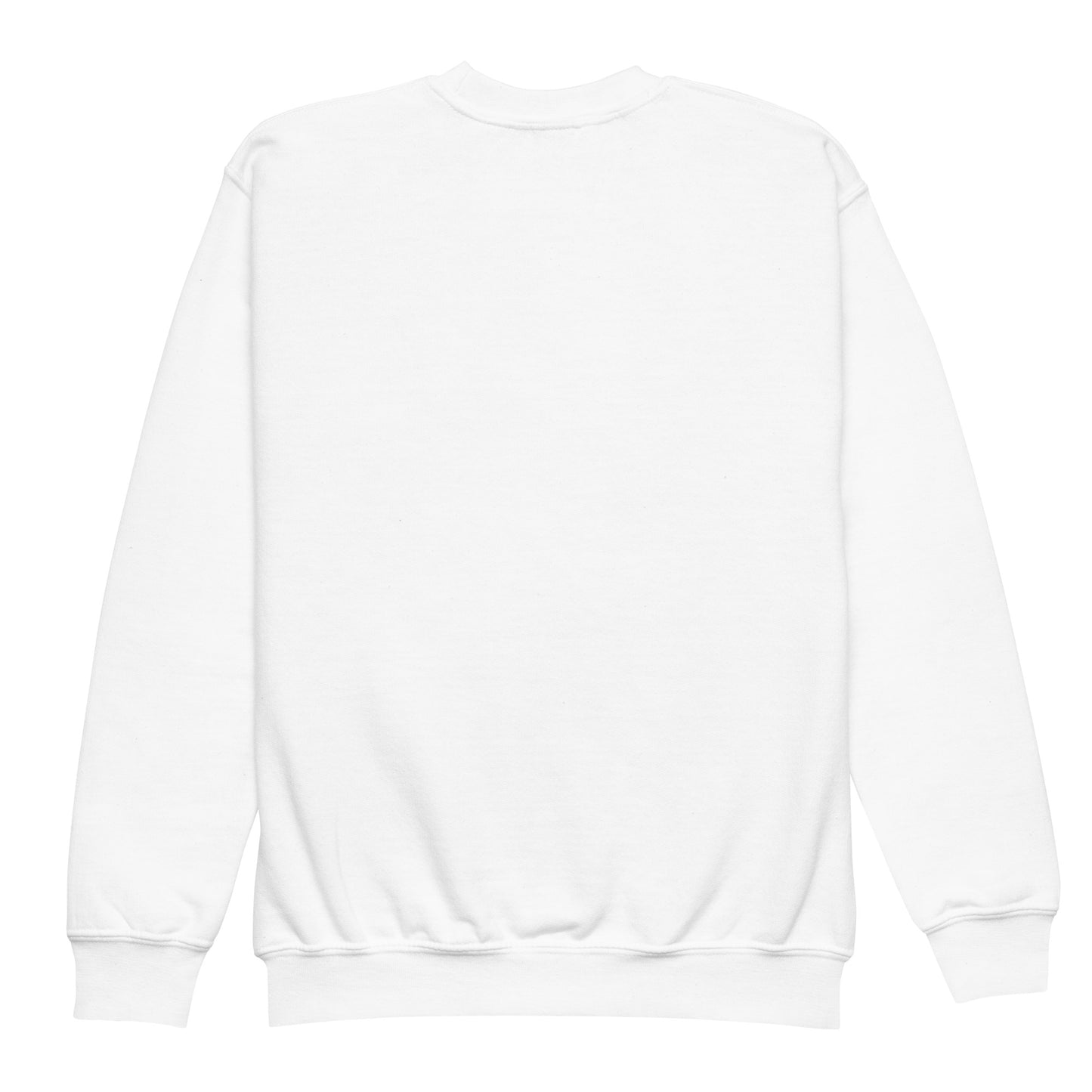 Salaam! | Embroidered Youth Sweatshirt