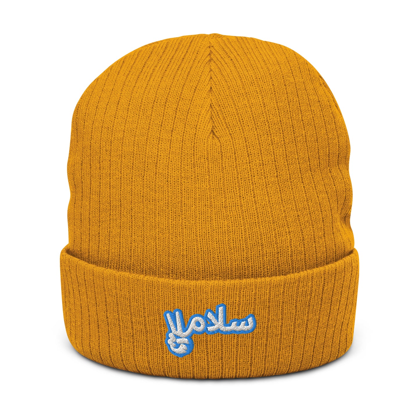 Salaam! | Ribbed Knit Beanie with Embroidered Emblem Teal